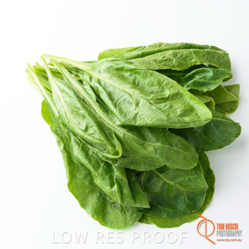 December 2017 / SPINACH_088_171206