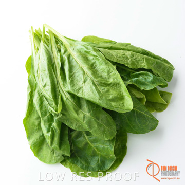 December 2017 / SPINACH_089_171206