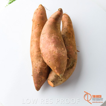 December 2017 / SWEET_POTATOE_121_171206