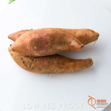 December 2017 / SWEET_POTATOE_123_171206