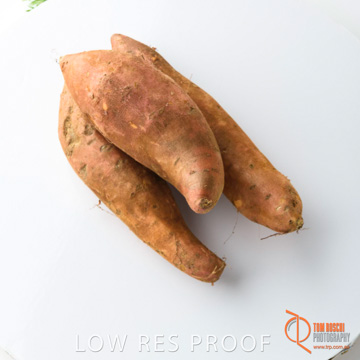 December 2017 / SWEET_POTATOE_124_171206