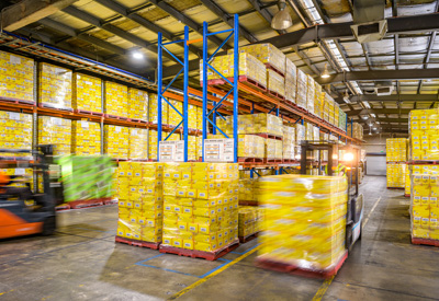 February 2020 / WAREHOUSE_200206_109