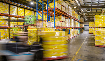 February 2020 / WAREHOUSE_200206_114