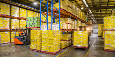 February 2020 / WAREHOUSE_200206_117