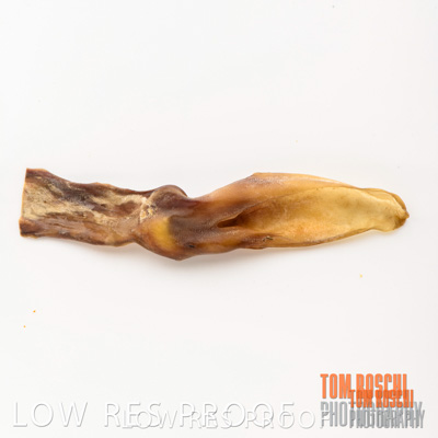 February 2020 / RABBIT_EARS_064