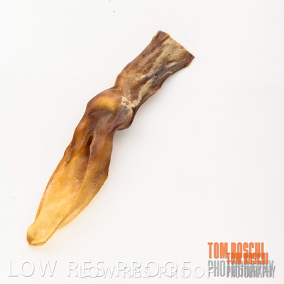 February 2020 / RABBIT_EARS_067