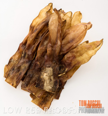 February 2020 / RABBIT_EARS_069