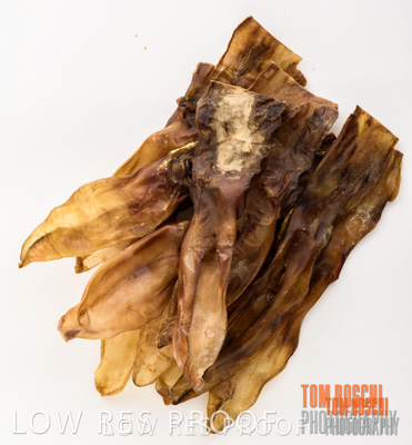 February 2020 / RABBIT_EARS_072