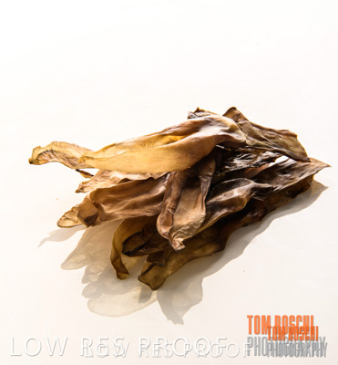 February 2020 / RABBIT_EARS_075