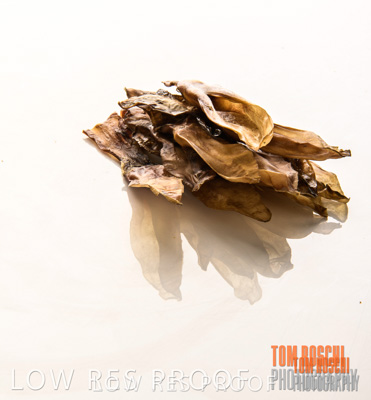 February 2020 / RABBIT_EARS_077