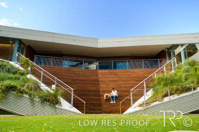 July 2021 / BOW_WOW_210713_541