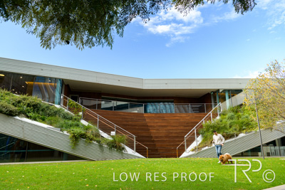 July 2021 / BOW_WOW_210713_546