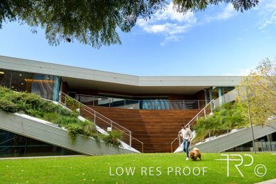 July 2021 / BOW_WOW_210713_547