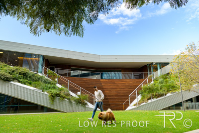 July 2021 / BOW_WOW_210713_551