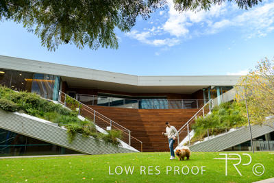 July 2021 / BOW_WOW_210713_552