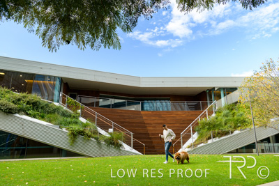 July 2021 / BOW_WOW_210713_553