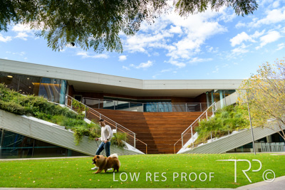 July 2021 / BOW_WOW_210713_564