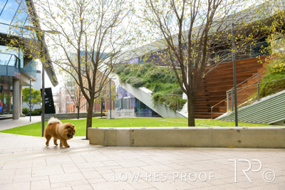 July 2021 / BOW_WOW_210713_565