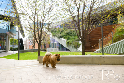 July 2021 / BOW_WOW_210713_567