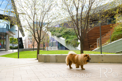 July 2021 / BOW_WOW_210713_569