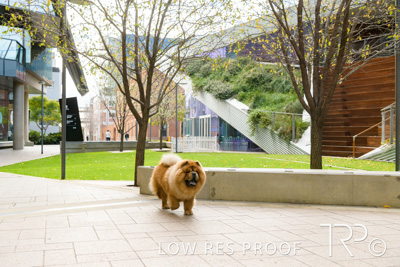 July 2021 / BOW_WOW_210713_571