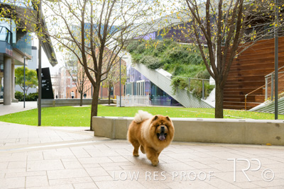 July 2021 / BOW_WOW_210713_573