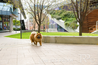 July 2021 / BOW_WOW_210713_575