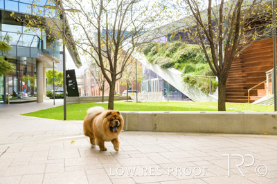 July 2021 / BOW_WOW_210713_581