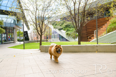 July 2021 / BOW_WOW_210713_586