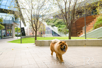 July 2021 / BOW_WOW_210713_588