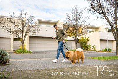 July 2021 / BOW_WOW_210713_652