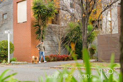 July 2021 / BOW_WOW_210713_672