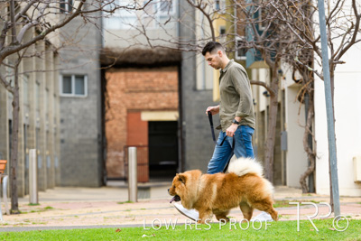 July 2021 / BOW_WOW_210713_729