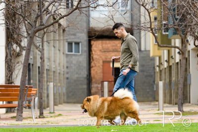 July 2021 / BOW_WOW_210713_730