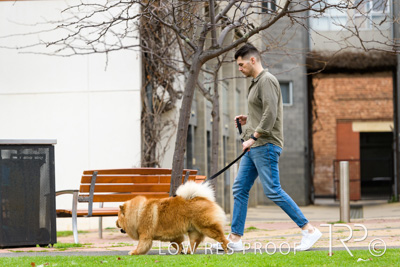 July 2021 / BOW_WOW_210713_732