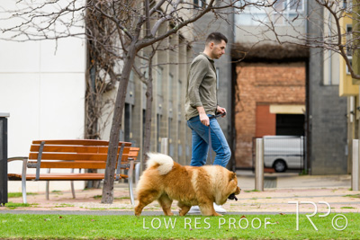 July 2021 / BOW_WOW_210713_734