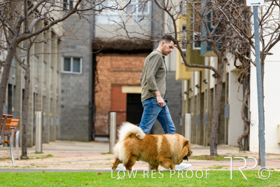 July 2021 / BOW_WOW_210713_735