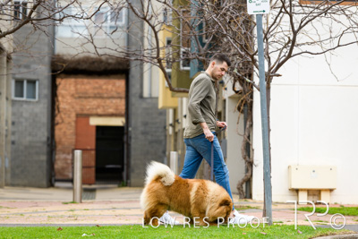 July 2021 / BOW_WOW_210713_736