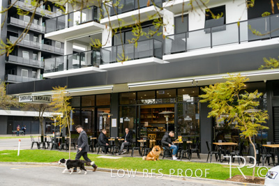 July 2021 / BOW_WOW_210713_750