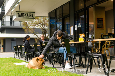 July 2021 / BOW_WOW_210713_768