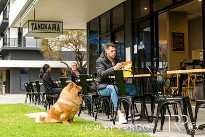 July 2021 / BOW_WOW_210713_769