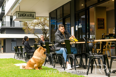 July 2021 / BOW_WOW_210713_770