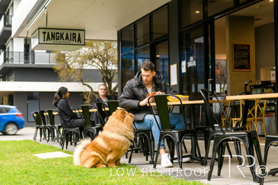 July 2021 / BOW_WOW_210713_771