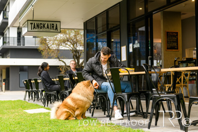 July 2021 / BOW_WOW_210713_772