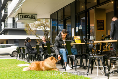 July 2021 / BOW_WOW_210713_773