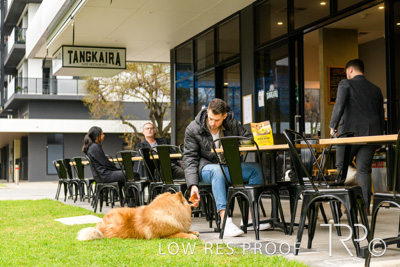 July 2021 / BOW_WOW_210713_774