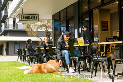 July 2021 / BOW_WOW_210713_775