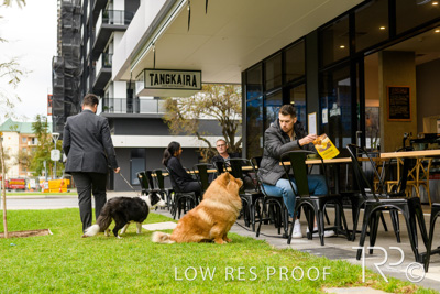 July 2021 / BOW_WOW_210713_776