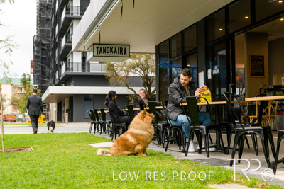 July 2021 / BOW_WOW_210713_777