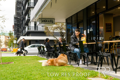 July 2021 / BOW_WOW_210713_778